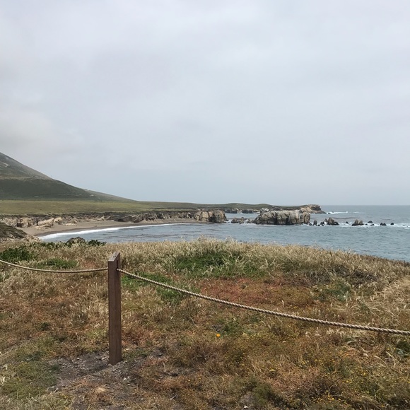 Meet your Posher, Riley - Picture 3 of 5